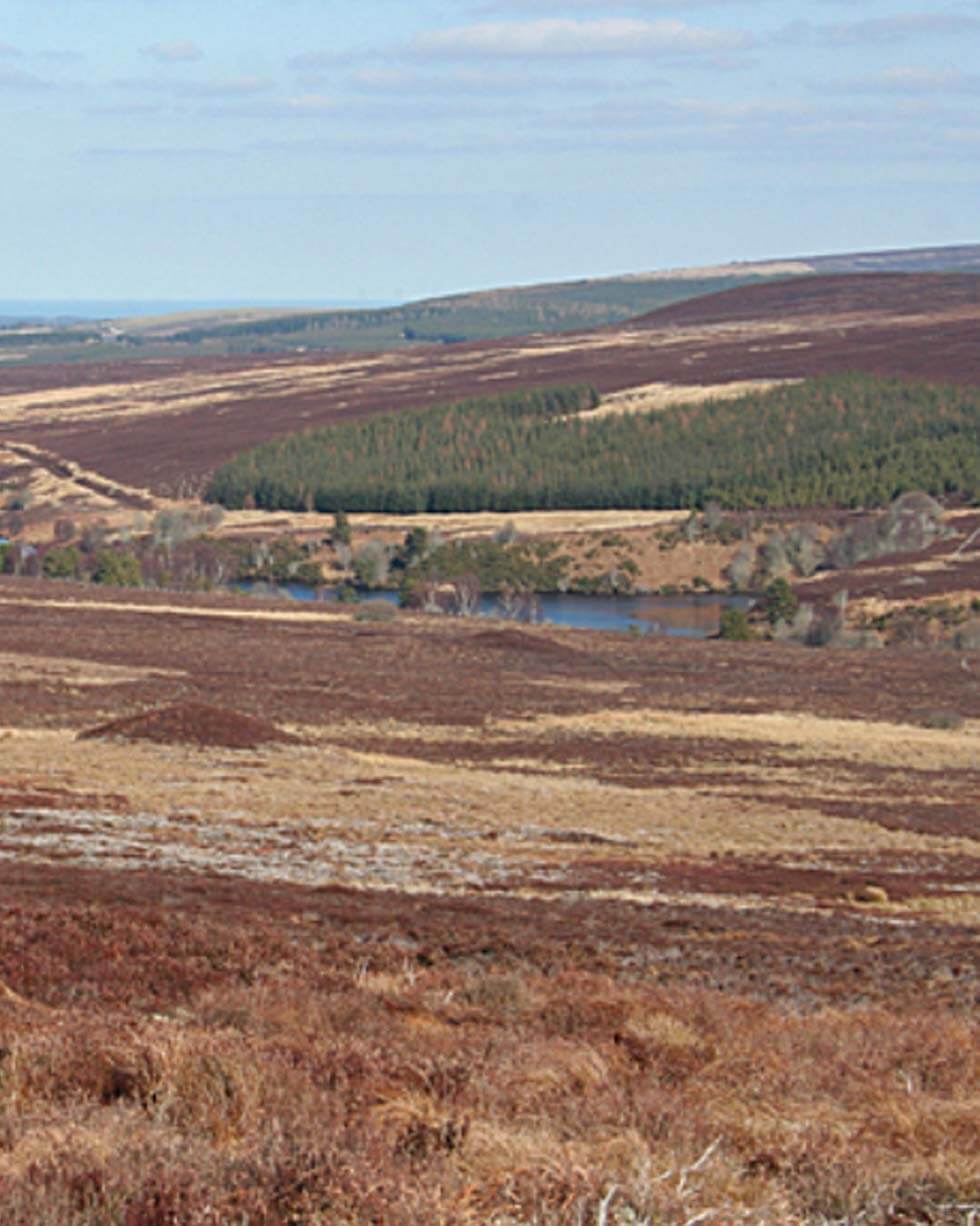 Nicol Directional Drilling - Projects / Case Study Glenlatterach – The moorland and woodland landscape where the directional drilling project took place